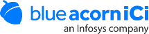 Blue Acorn iCi logo